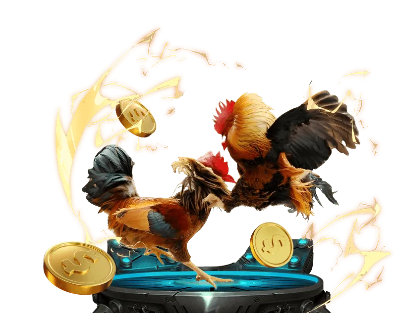 Các tính năng và ưu đãi của 8ok chính thức